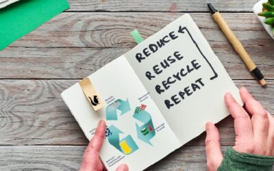 Abfall vermeiden im Alltag: reduce, reuse & recycle