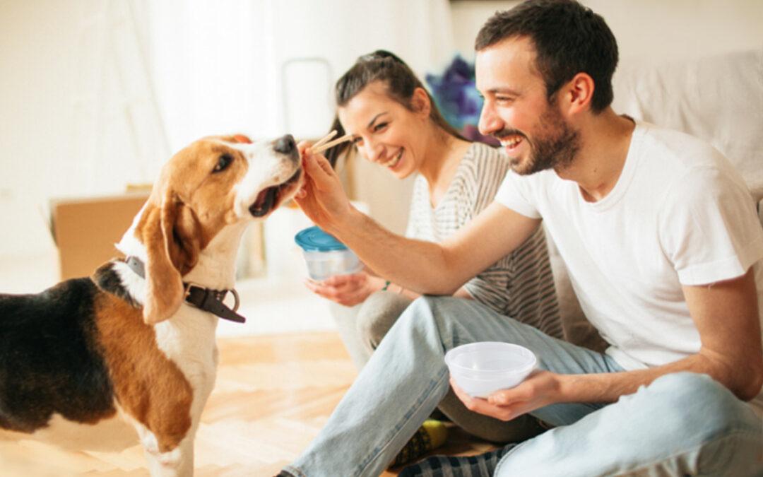 Hundefutter Aufbewahrung – so bleibt die Nahrung frisch