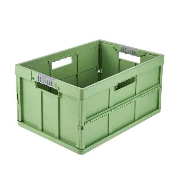 benno eco line - immagine 2