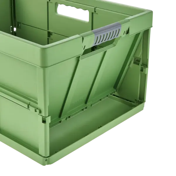 benno eco line - immagine 5