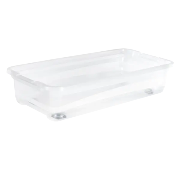 konrad "natural (transparent)" - Image 3