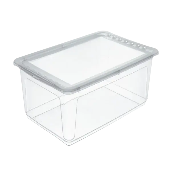 bea "natural (transparent)" – Bild 2