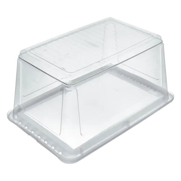 bea "natural (transparent)" – Bild 3