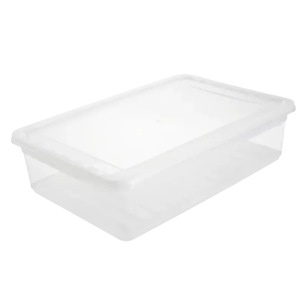 bea "natural (transparent)" - Image 2
