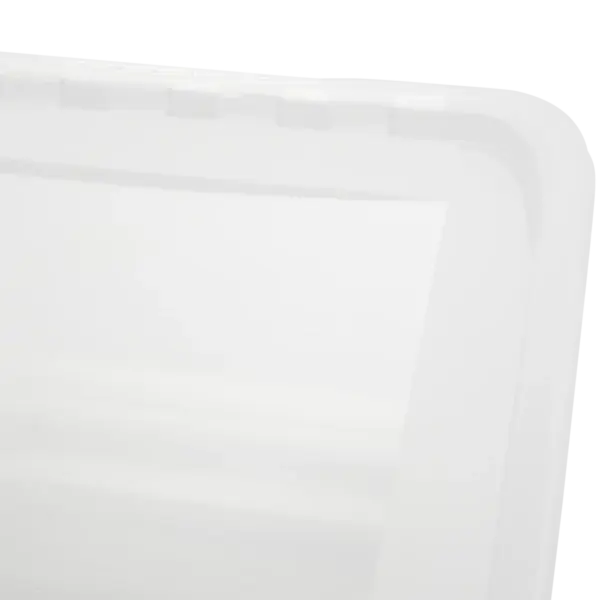 bea "natural (transparent)" - Image 6