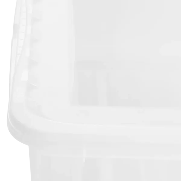 bea "natural (transparent)" - Image 7