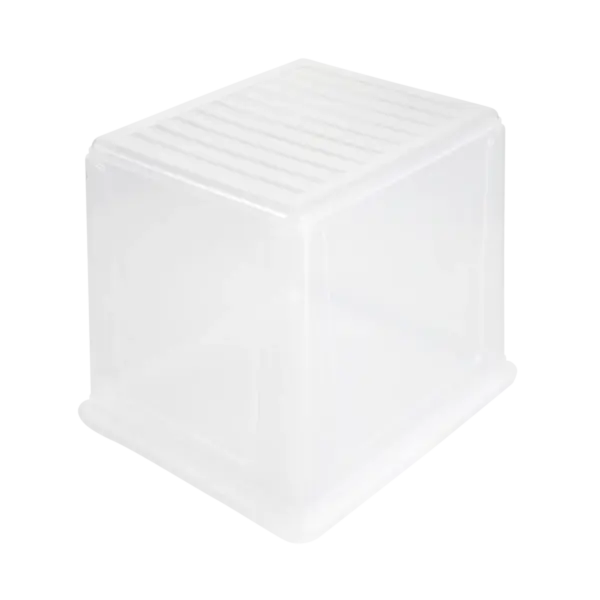 bea "natural (transparent)" – Bild 4
