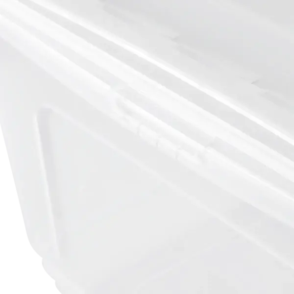 bea "natural (transparent)" – Bild 7