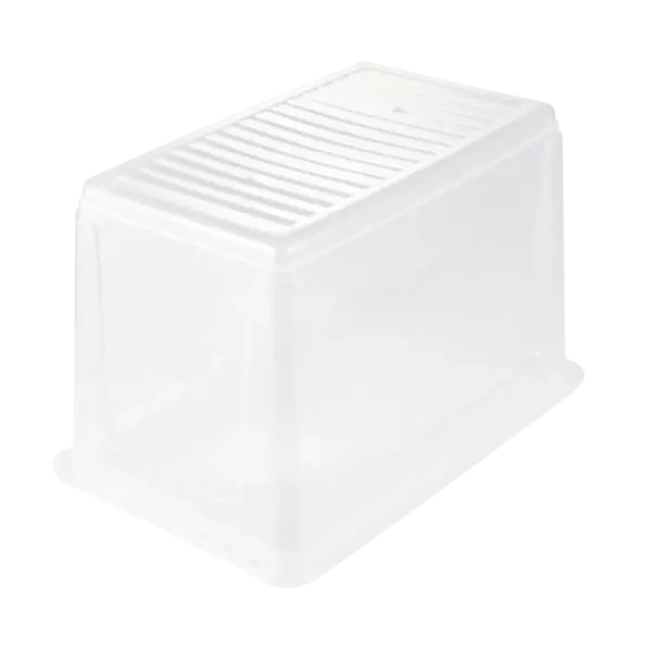 bea "natural (transparent)" – Bild 4