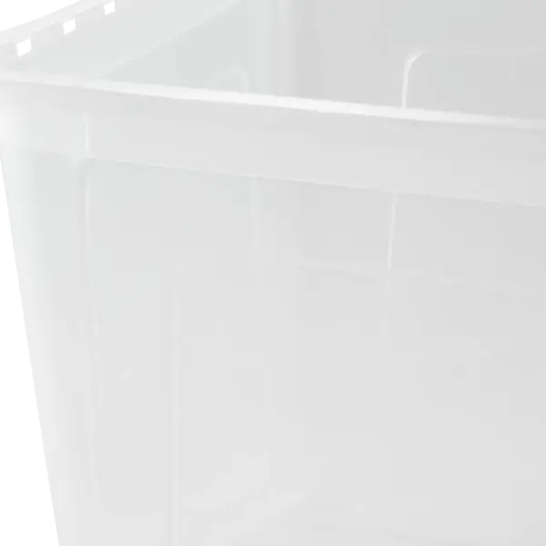 bea "natural (transparent)" – Bild 6