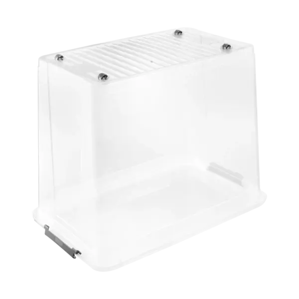 leo "natural (transparent)" – Bild 4