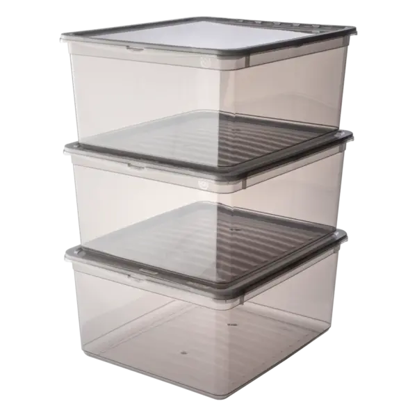bea "crystal grey (transparent)" – Bild 2