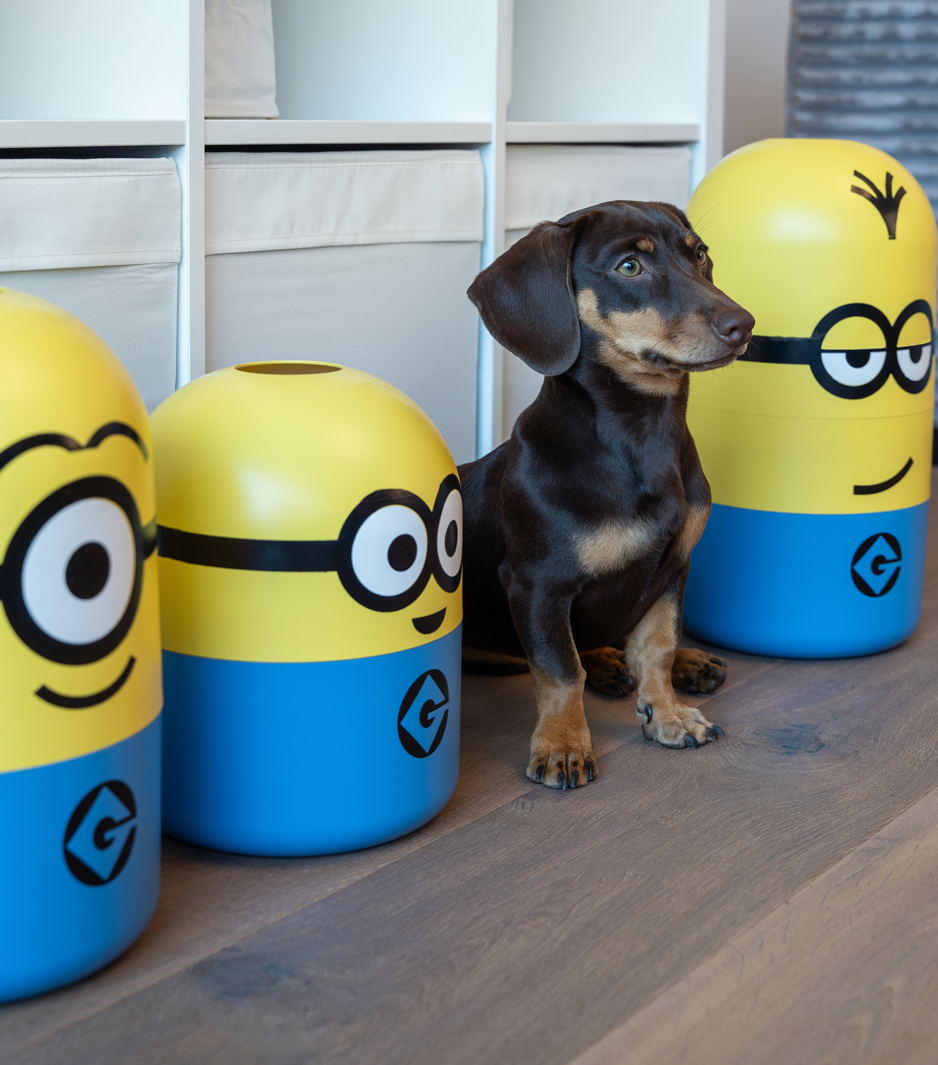 Hund sitzt neben keeeper Minions Boxen „bob“, „stuart“ und „kevin“ – praktische Lösung für Ordnung im Kinderzimmer.