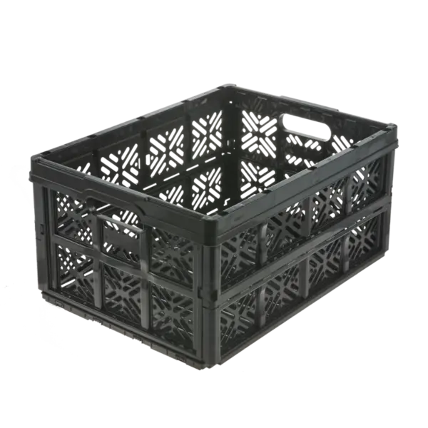 1022480000000_pt01.webp