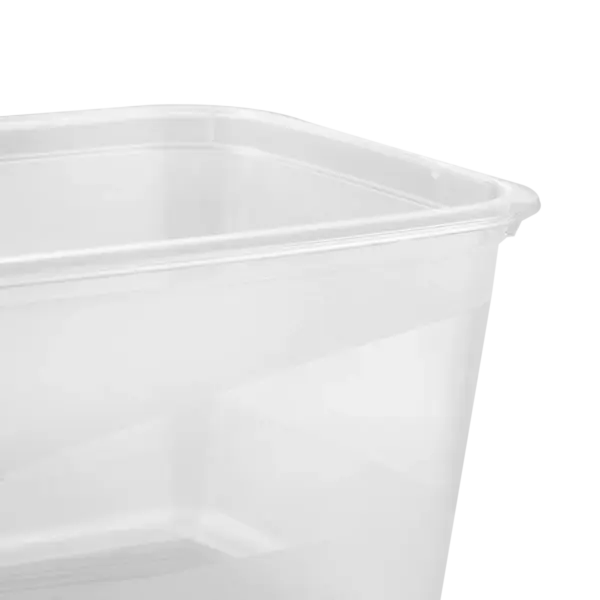 3067652500000_pt05.webp